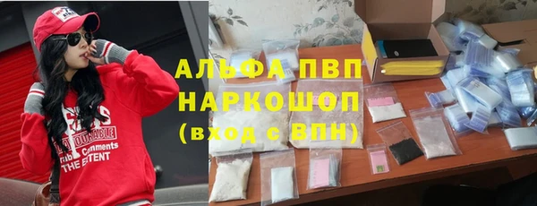 молекула духа Арсеньев