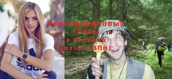 apvp Аркадак