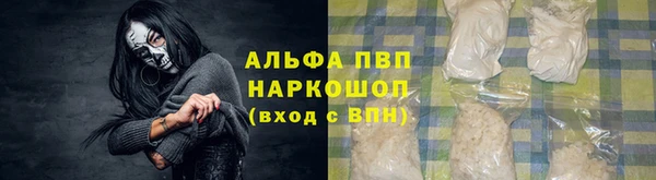 молекула духа Арсеньев
