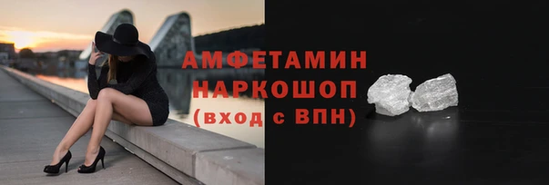 молекула духа Арсеньев