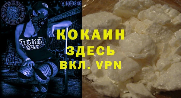 молекула духа Арсеньев