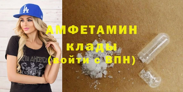 молекула духа Арсеньев