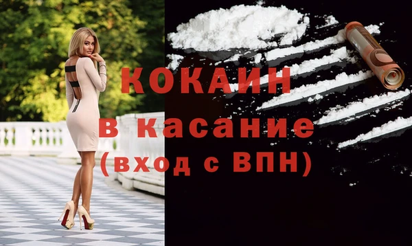 молекула духа Арсеньев