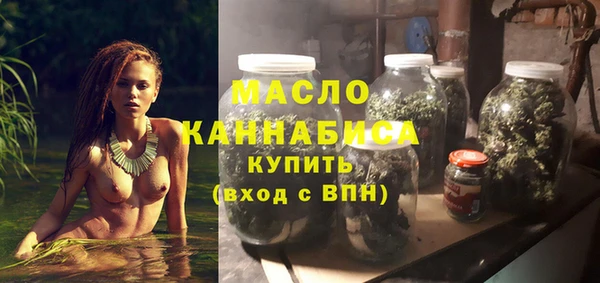 молекула духа Арсеньев