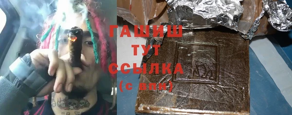 молекула духа Арсеньев